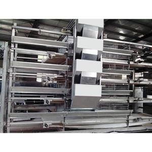 恒星雞籠廠 自動化養雞設備引領高效養殖新潮流